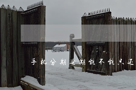 手机分期逾期能不能只还本金 手机分期逾期能不能只还本金