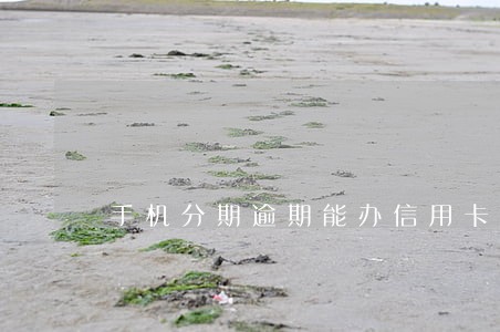手机分期逾期能办信用卡 手机分期逾期能办信用卡