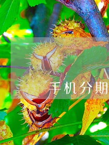 手机分期逾期过会影响贷款吗 手机分期逾期过会影响贷款吗