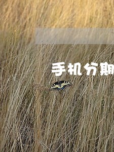 手机分期逾期还能办网贷吗 手机分期逾期还能办网贷吗