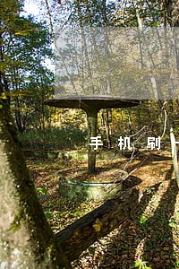 手机刷卡违法吗 手机刷卡违法吗