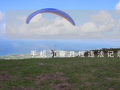 手机可查月嫂违法记录 手机可查月嫂违法记录