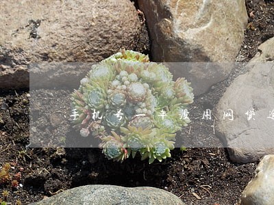 手机号一年没用网贷逾期 手机号一年没用网贷逾期