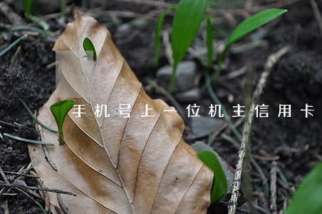 手机号上一位机主信用卡逾期 手机号上一位机主信用卡逾期