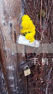 手机号变更导致信用卡小额逾期