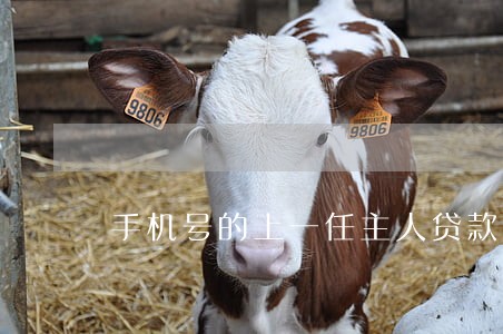 手机号的上一任主人贷款逾期 手机号的上一任主人贷款逾期