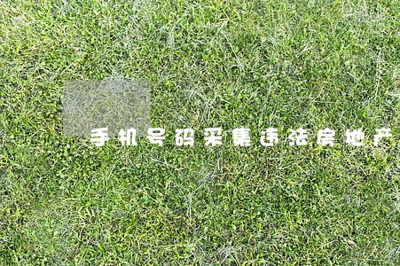 手机号码采集违法房地产