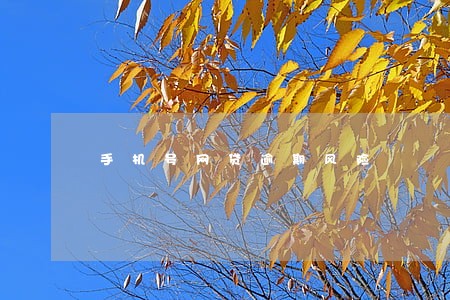 手机号网贷逾期风险 手机号网贷逾期风险