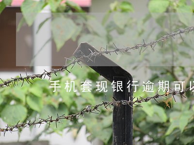 手机套现银行逾期可以取消吗 手机套现银行逾期可以取消吗