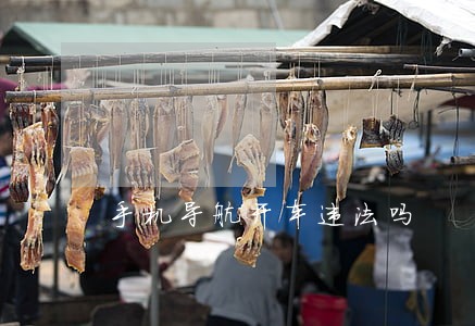 手机导航开车违法吗 手机导航开车违法吗