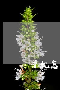 手机怎么兼职不违法吗