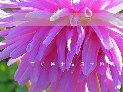 手机换卡信用卡逾期 手机换卡信用卡逾期