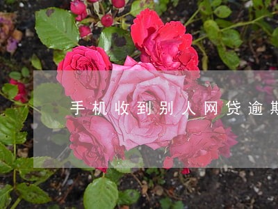 手机收到别人网贷逾期 手机收到别人网贷逾期