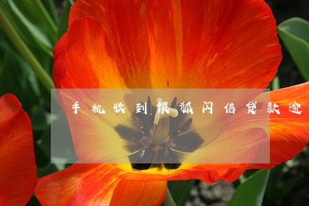 手机收到银狐闪信贷款逾期 手机收到银狐闪信贷款逾期