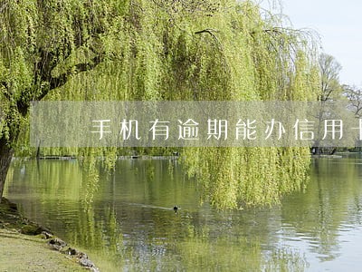 手机有逾期能办信用卡 手机有逾期能办信用卡