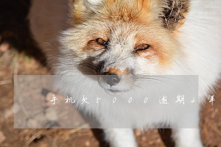 手机欠5000逾期2年还能借吗 手机欠5000逾期2年还能借吗