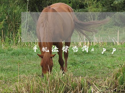手机法律咨询app 手机法律咨询app
