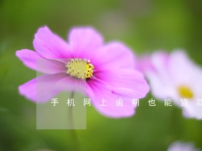 手机网上逾期也能贷款 手机网上逾期也能贷款