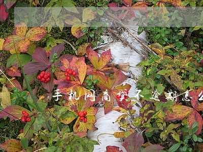 手机网商贷不逾期怎么办 手机网商贷不逾期怎么办