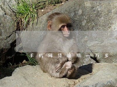 手机网贷逾期一万多 手机网贷逾期一万多