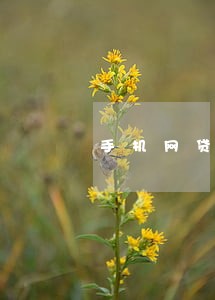 手机网贷逾期会上门收钱吗 手机网贷逾期会上门收钱吗