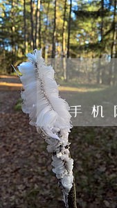 手机网贷逾期做美团可以 手机网贷逾期做美团可以