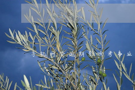 手机网贷逾期影响考事业单位不 手机网贷逾期影响考事业单位不