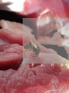 手机网贷逾期能不处理 手机网贷逾期能不处理