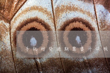 手机网贷逾期需要开证明 手机网贷逾期需要开证明