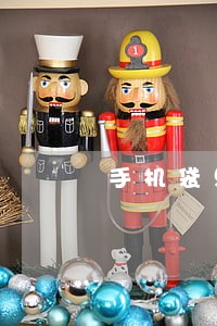 手机袋只还本金可以吗 手机袋只还本金可以吗