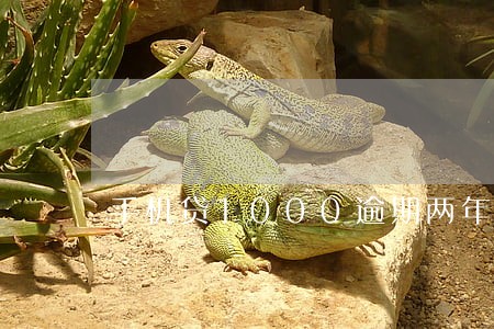 手机贷1000逾期两年