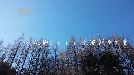 手机贷5000元逾期多久要 手机贷5000元逾期多久要