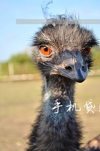 手机贷5000逾期一个月 手机贷5000逾期一个月