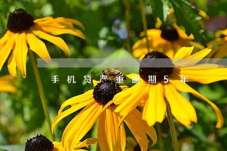 手机贷严重逾期5年 手机贷严重逾期5年