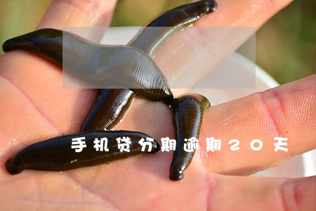 手机贷分期逾期20天 手机贷分期逾期20天