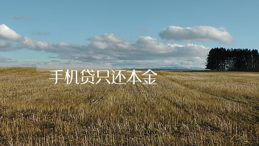 手机贷只还本金 手机贷只还本金