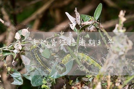 手机贷征信逾期3年 手机贷征信逾期3年