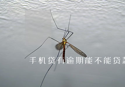 手机贷有逾期能不能贷款买房 手机贷有逾期能不能贷款买房