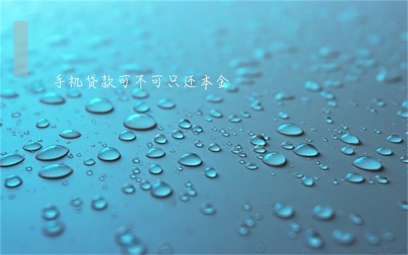 手机贷款可不可只还本金 手机贷款可不可只还本金