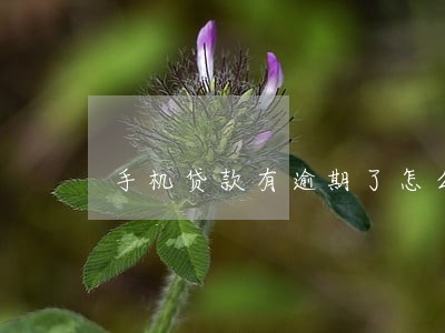 手机贷款有逾期了怎么办 手机贷款有逾期了怎么办