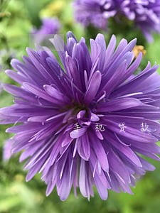 手机贷款违法打击 手机贷款违法打击