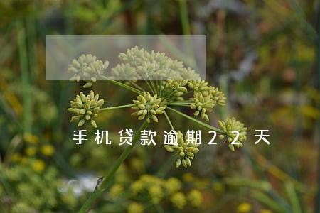 手机贷款逾期22天 手机贷款逾期22天