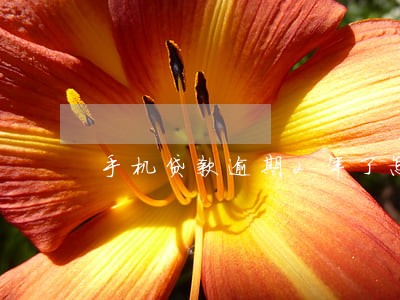 手机贷款逾期2年了怎么办 手机贷款逾期2年了怎么办