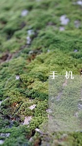 手机贷款逾期一天怎么还款 手机贷款逾期一天怎么还款