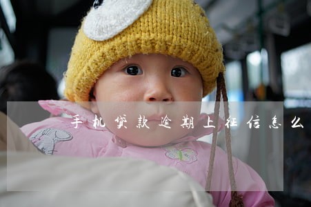手机贷款逾期上征信怎么办6 手机贷款逾期上征信怎么办6