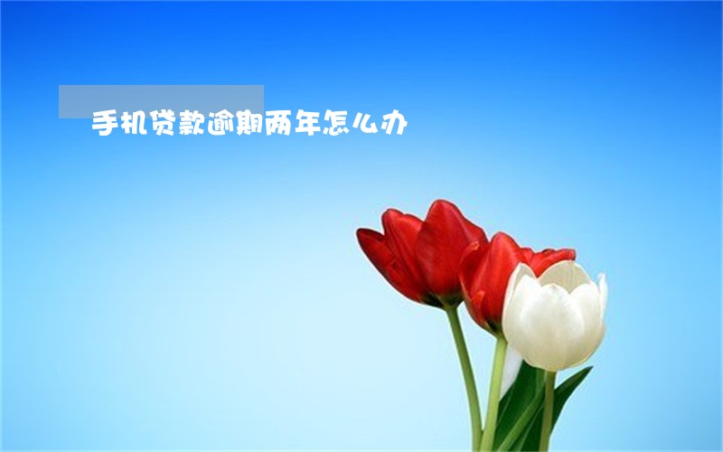 手机贷款逾期两年怎么办