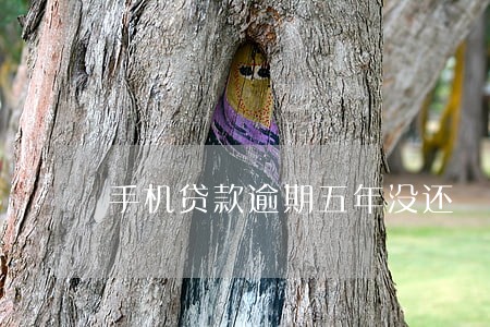 手机贷款逾期五年没还 手机贷款逾期五年没还