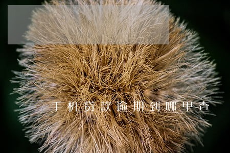 手机贷款逾期到哪里查 手机贷款逾期到哪里查