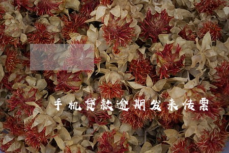 手机贷款逾期发来传票 手机贷款逾期发来传票