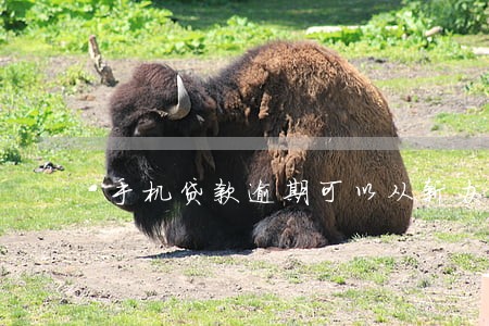 手机贷款逾期可以从新办卡吗